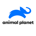  Animal Planet